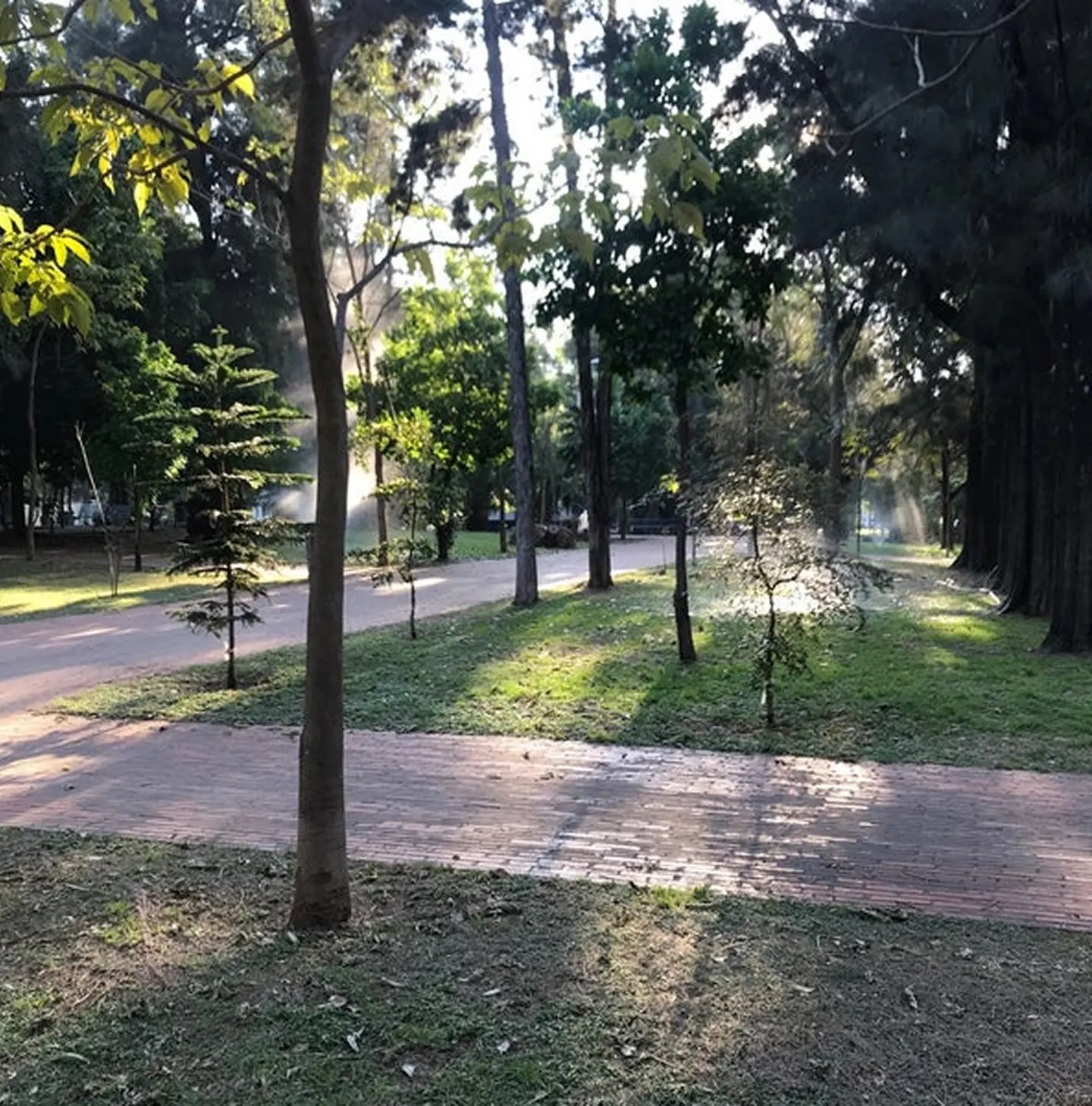 Parque Rubén Dario, Providencia Guadalajara