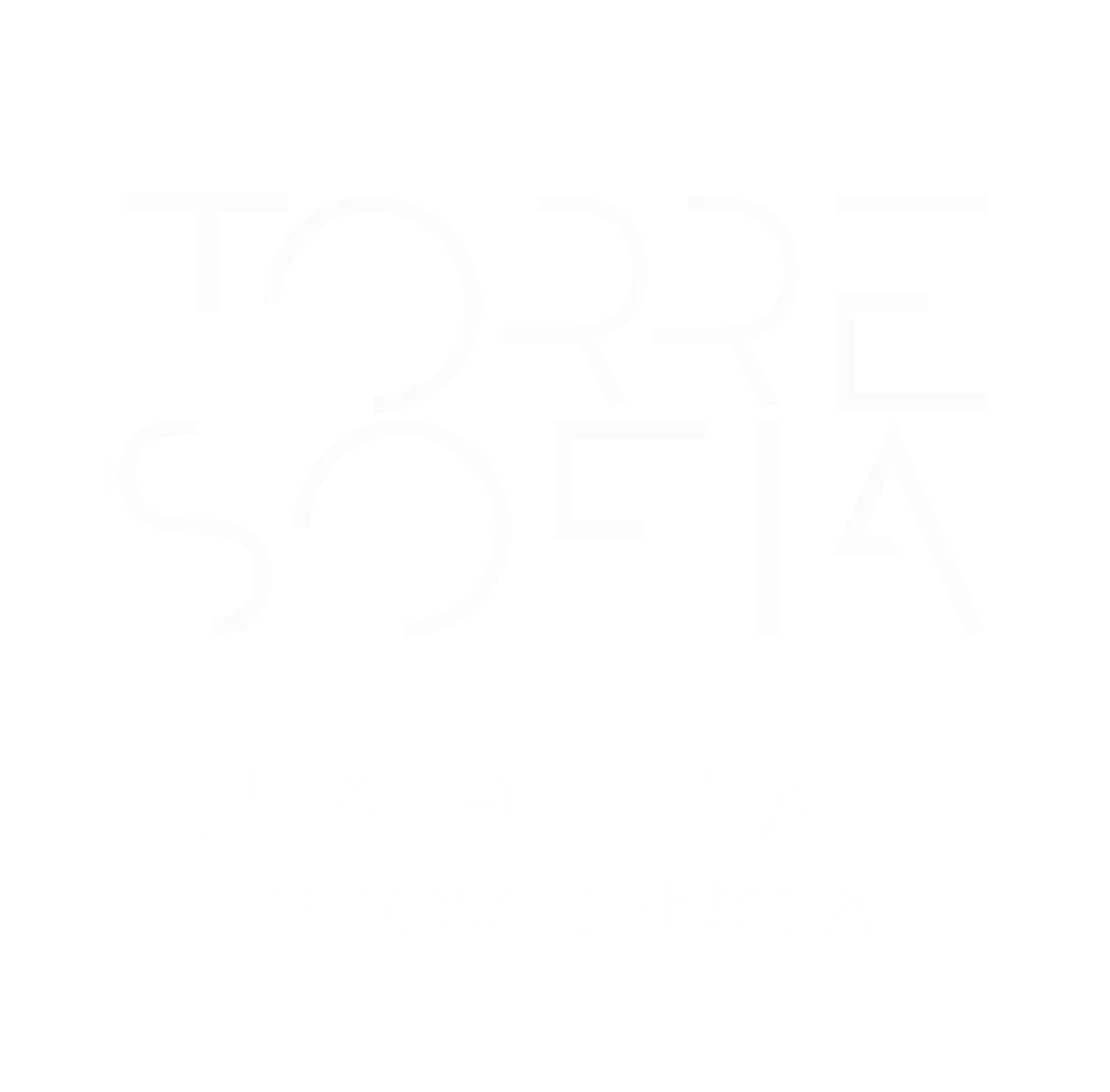Logotipo Torre Sofía departamentos en calle Nápoles, Colonia Providencia